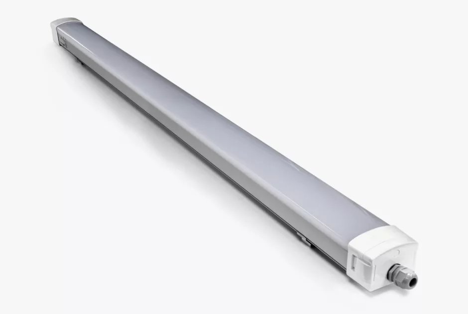 Afbeeldingen Aquila 01