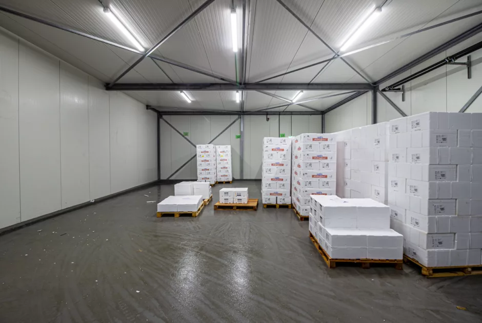 Aquila Vebatrans Urk 5