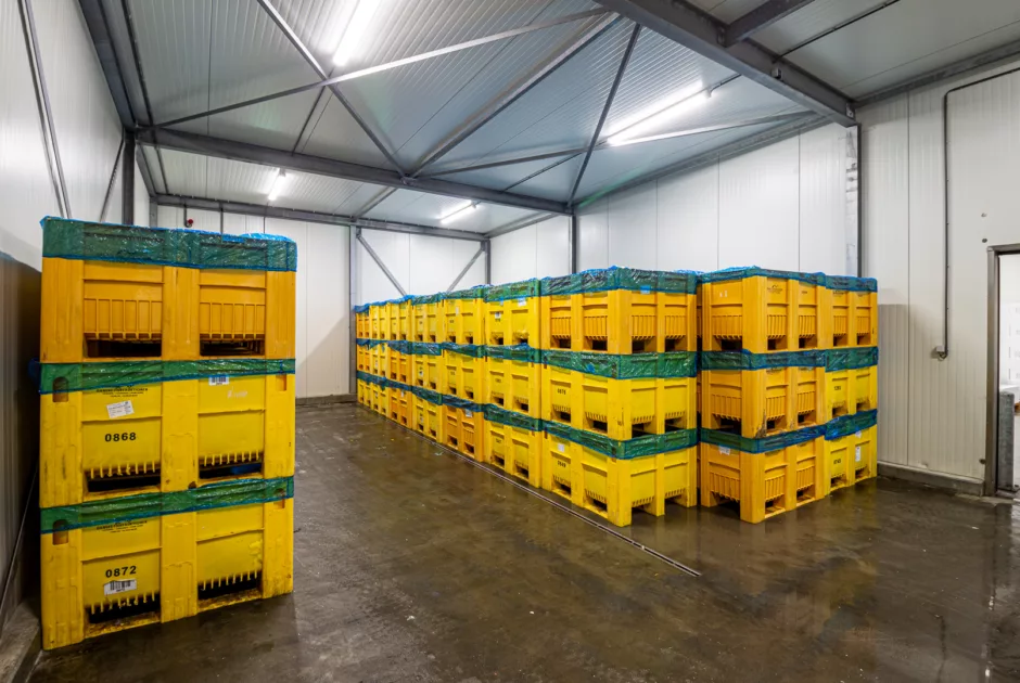 Aquila Vebatrans Urk 6