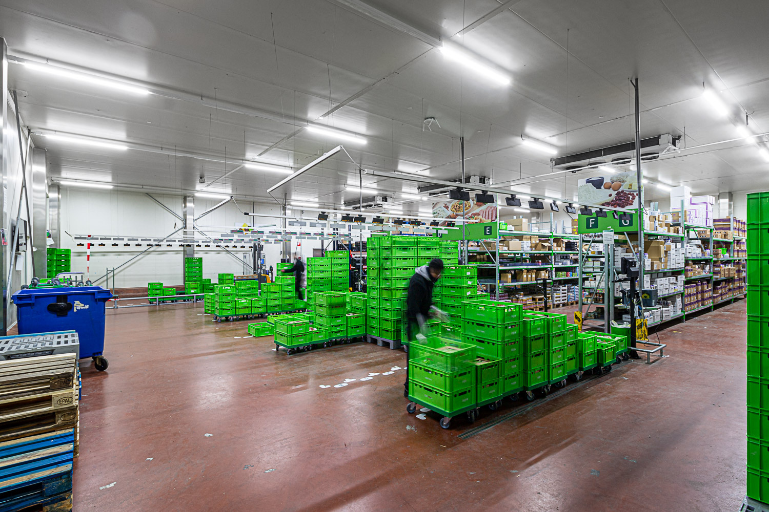 Lednovate Linea Distrivers Hoogeveen 2 - Distrivers