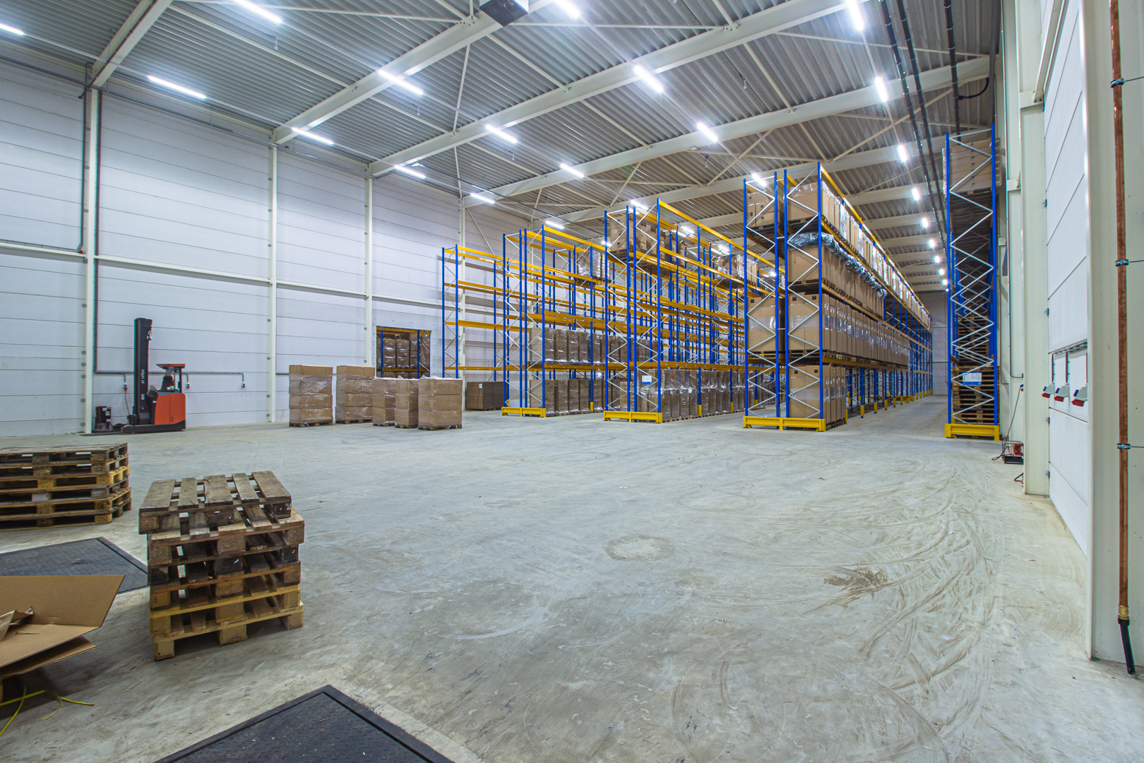 Lednovate Linea Edelman Dinxperlo 1 - Edelman