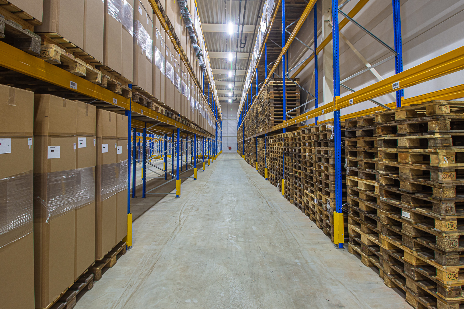 Lednovate Linea Edelman Dinxperlo 4 - Edelman