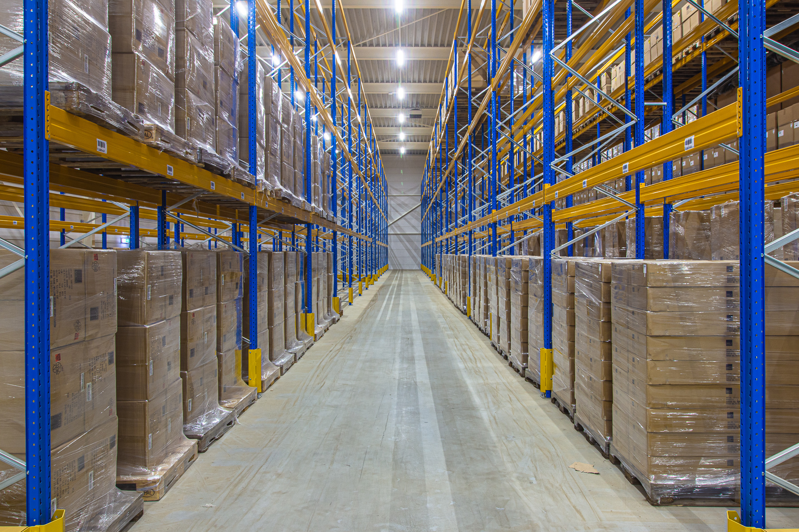 Lednovate Linea Edelman Dinxperlo 5 - Edelman