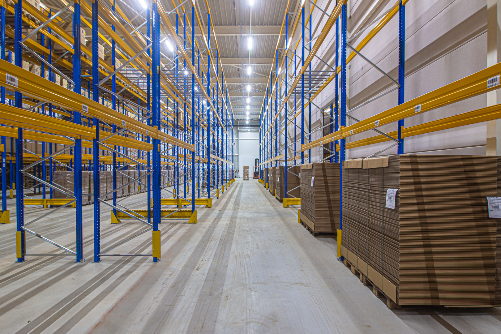 Lednovate Linea Edelman Dinxperlo 7 - Edelman