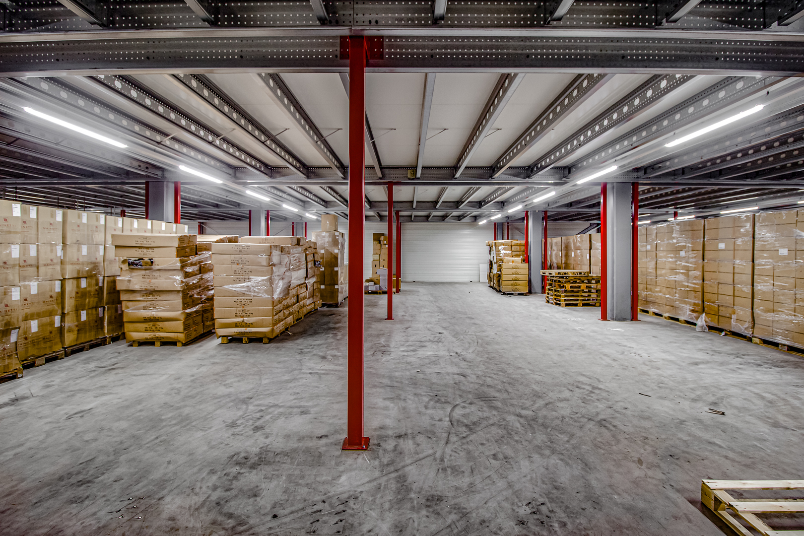 Lednovate Linea De Nederlandse Zevenaar 5 - De Nederlandse