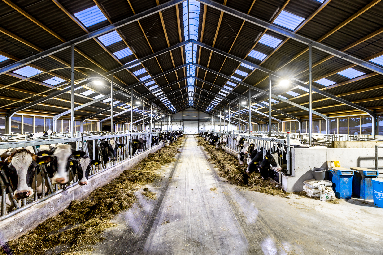 Lednovate Taurus Korevaar Lelystad 1 - Ligboxenstal Korevaar