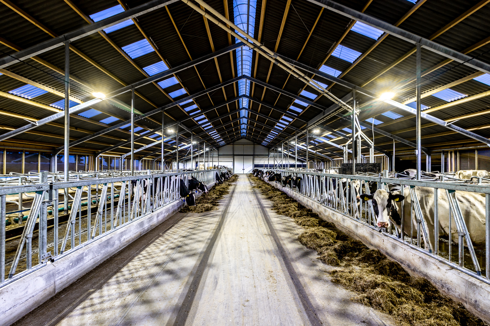 Lednovate Taurus Korevaar Lelystad 3 - Ligboxenstal Korevaar