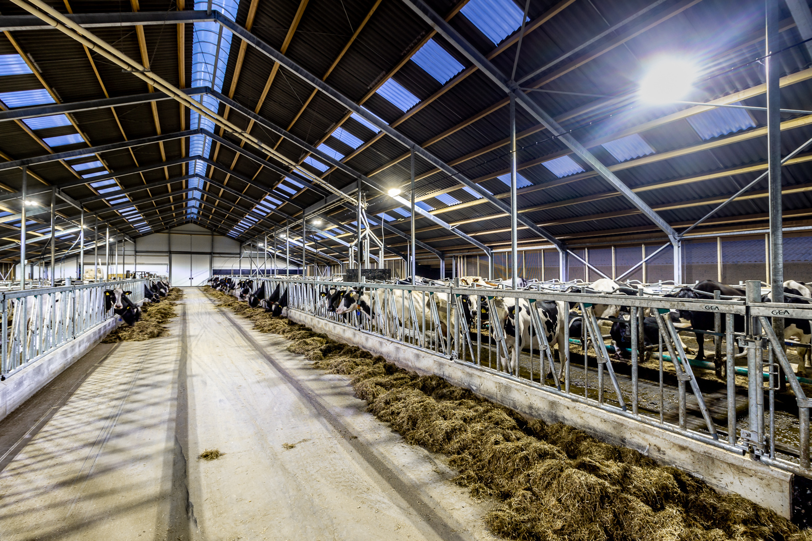 Lednovate Taurus Korevaar Lelystad 4 - Ligboxenstal Korevaar