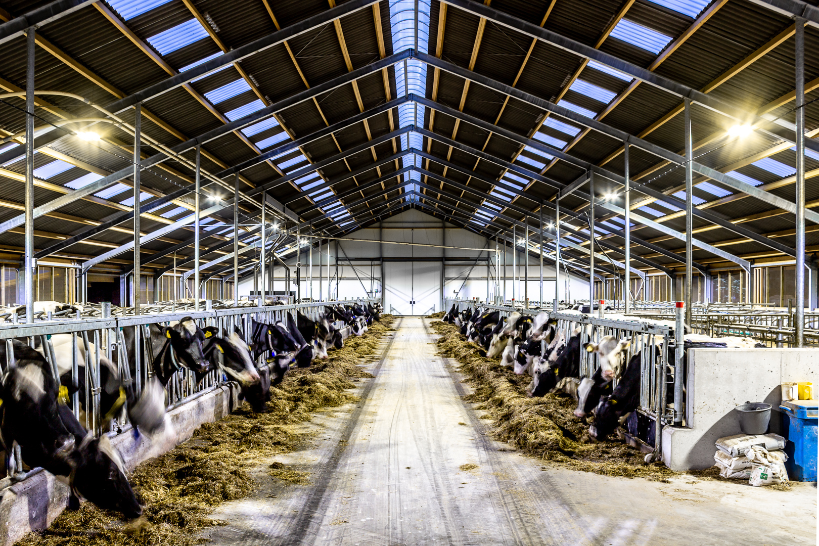 Lednovate Taurus Korevaar Lelystad 5 - Ligboxenstal Korevaar