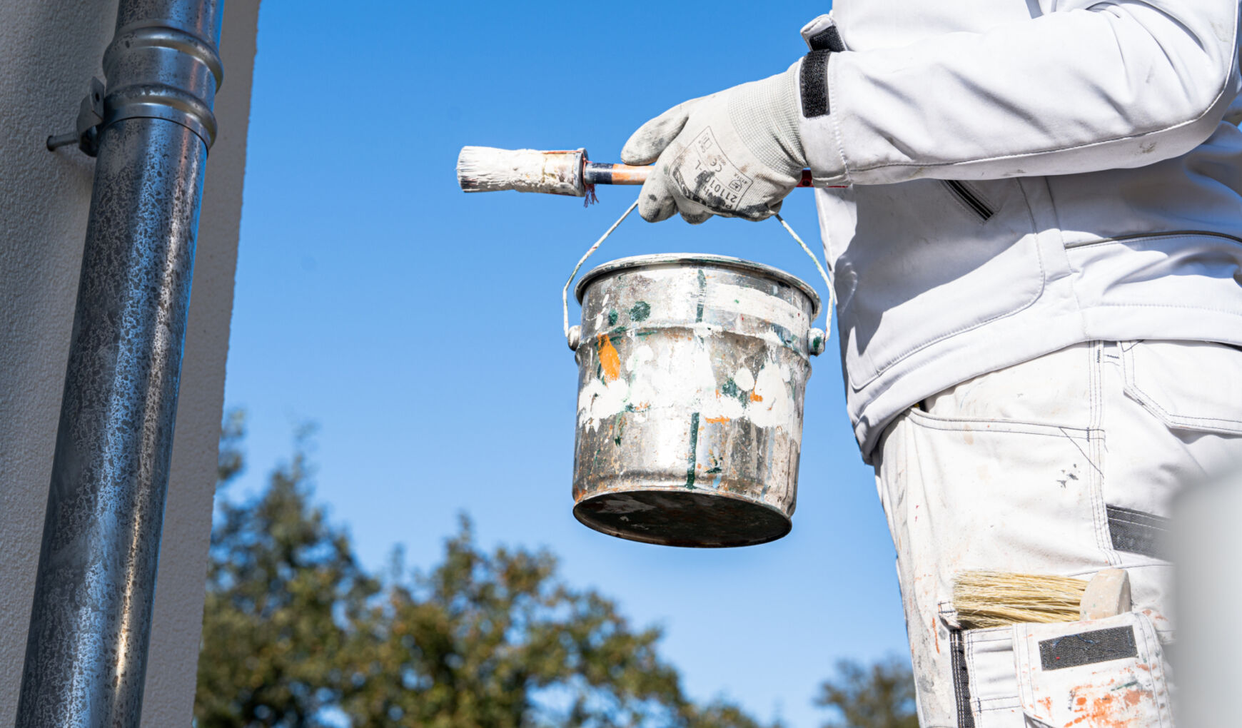 241003 Lefering 2700px 45 241003 Lefering 2700px 45