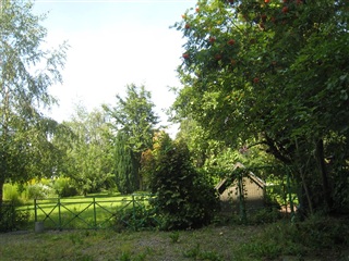 Billede 9. Lejlighed, Guldbergsvej, Odense C 