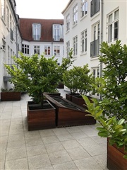 Photo 1. Apartment, Vimmelskaftet, København K 