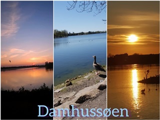 Photo 6. Room, Valby Langgade, Valby 