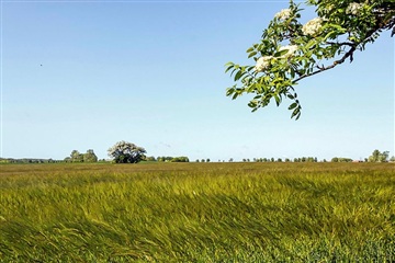 Billede 35. Lejlighed, Korsgårdsvej, Allingåbro 