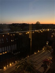 Photo 4. Room, Duevej, Frederiksberg 