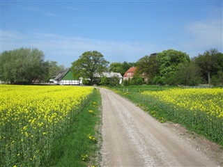 Billede 12. Hus/villa, Nordgårdshuse, Ringsted 