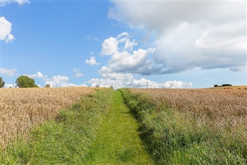 Billede 10. Hus/villa, Brugsbakken, Knebel 
