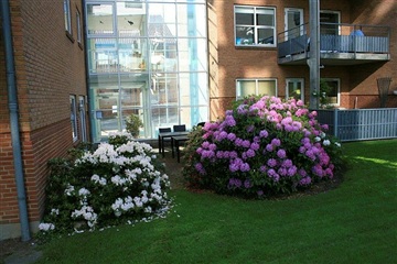 Photo 1. Apartment, Kampmannsgade, Herning 