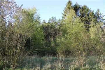 Photo 10. House, Tuenvej, Frederikshavn 