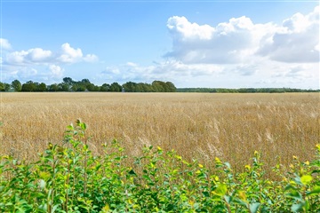 Photo 7. House, Auningvej, Allingåbro 