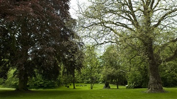 Photo 13. Apartment, Stubbekøbingvej, Nykøbing F 