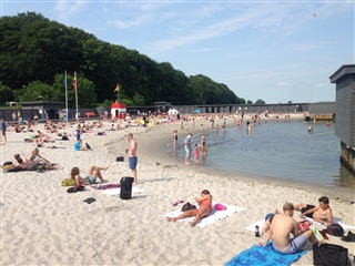 Billede 20. Værelse, Skovfaldet, Aarhus N 