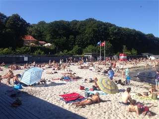 Billede 24. Værelse, Skovfaldet, Aarhus N 