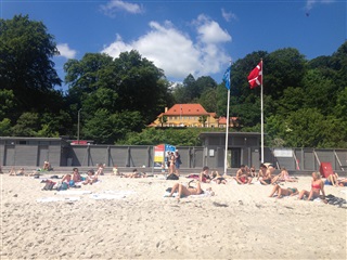 Billede 13. Værelse, Skovfaldet, Aarhus N 