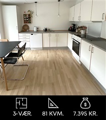 Photo 1. Apartment, Fredericiagade, Aalborg 
