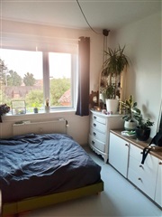 Photo 8. Room, Lindholmsvej, Brønshøj 