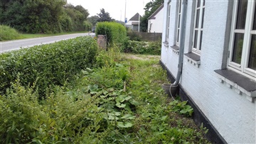 Photo 20. House, Tryggelev, Humble 