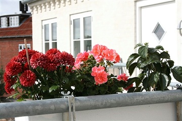 Photo 2. Apartment, Torvegade, Nexø 