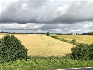 Photo 19. Apartment, Assensvej, Stenstrup 