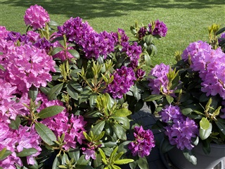 Photo 8. Apartment, Falkevej, Viborg 