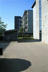 Photo 7. Apartment, Thrigesvej, Herning 