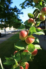 Photo 18. Apartment, Thrigesvej, Herning 