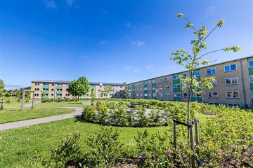 Photo 12. Apartment, Asagården, Holstebro 