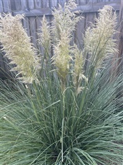 Photo 5. Exchange property, Ottingvej, Søborg 