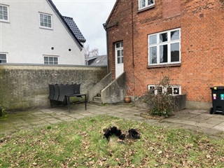 Photo 15. House, Bethaniagade, Herning 
