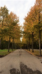 Photo 9. Room, Sydhavnsgade, København SV 