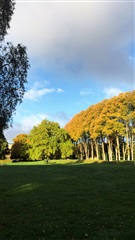 Photo 1. Room, Sydhavnsgade, København SV 