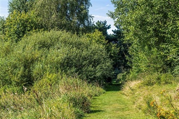Photo 14. Apartment, Bøgevænget, Brande 