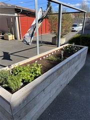 Photo 1. Apartment, Norgesgade, Aalborg 