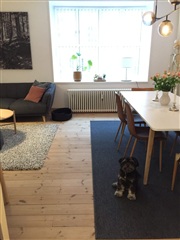 Photo 4. Room, Klostervej, Odense C 