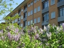 Photo 1. Apartment, Hybenvej, Horsens 