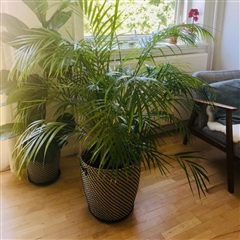 Photo 12. Room, Kamhusene, Valby 