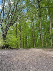 Photo 1. Room, Malerbakken, Holte 