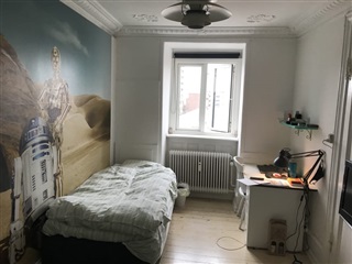 Photo 4. Room, Vesterfælledvej, København V 