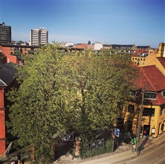 Photo 10. Room, Vesterfælledvej, København V 