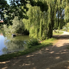 Billede 18. Lejlighed, Norgesgade, Aalborg 